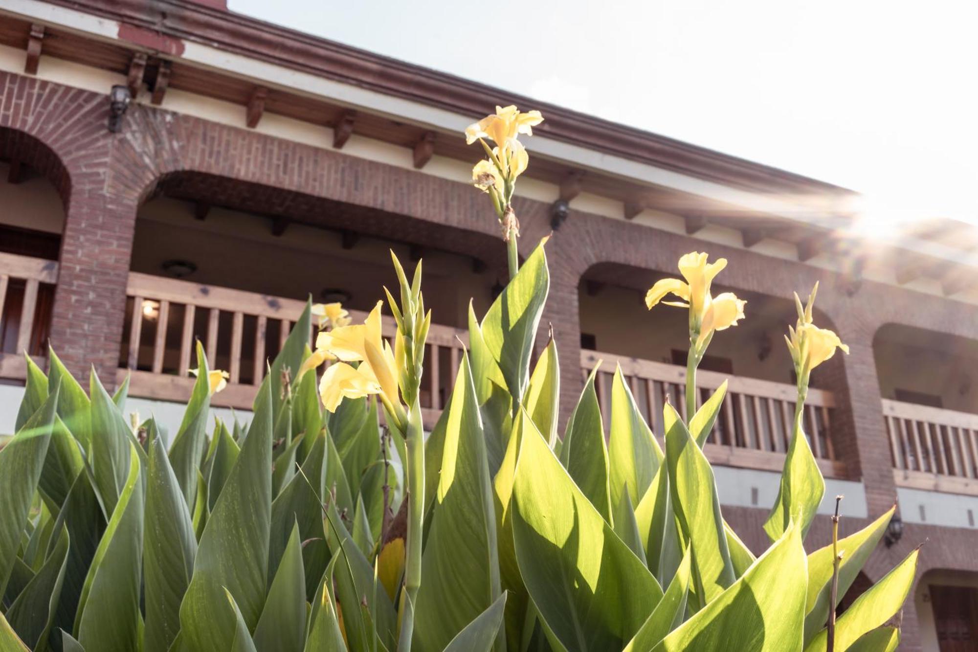 Hotel La Casona Jilotepec de Abasolo Zewnętrze zdjęcie